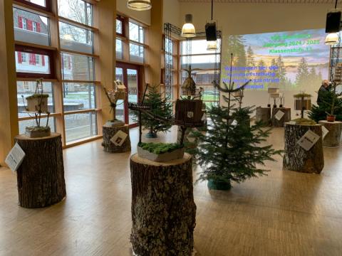 Ausstellung „Baumhaus“ im Walderlebniszentrum Soonwald